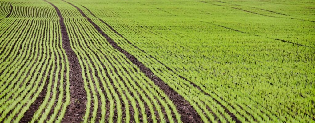 Sistemas de riego y conducción de agua para agricultura