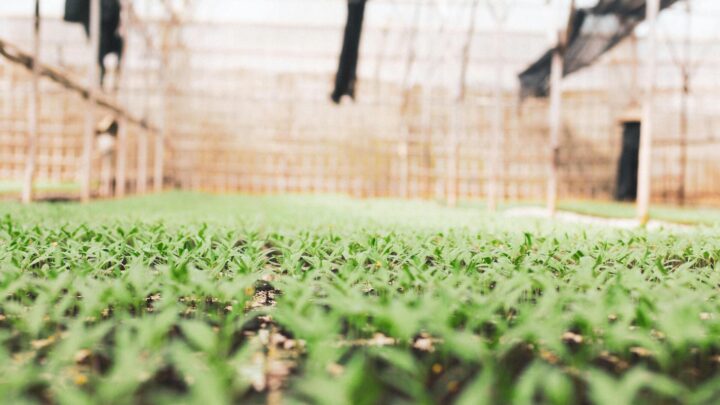 Sistemas de riego en la agricultura
